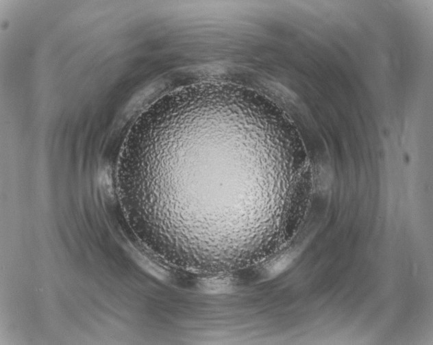 X0000070400238200606091134
