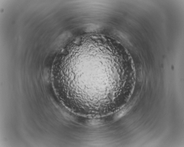 X0000070400273200606091133