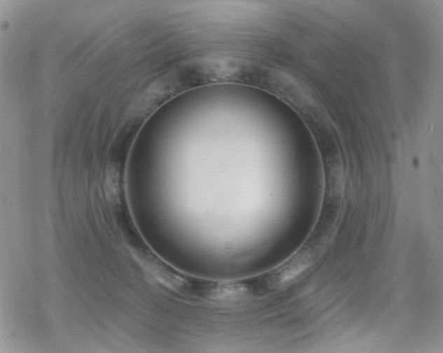 X0000070400274200606091133