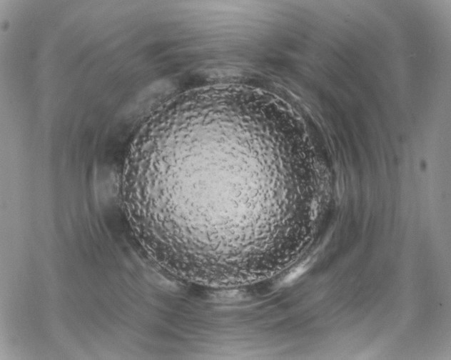 X0000070400281200606091134