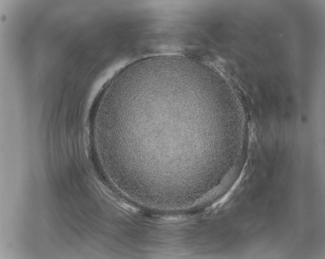 X0000070400342200606091131