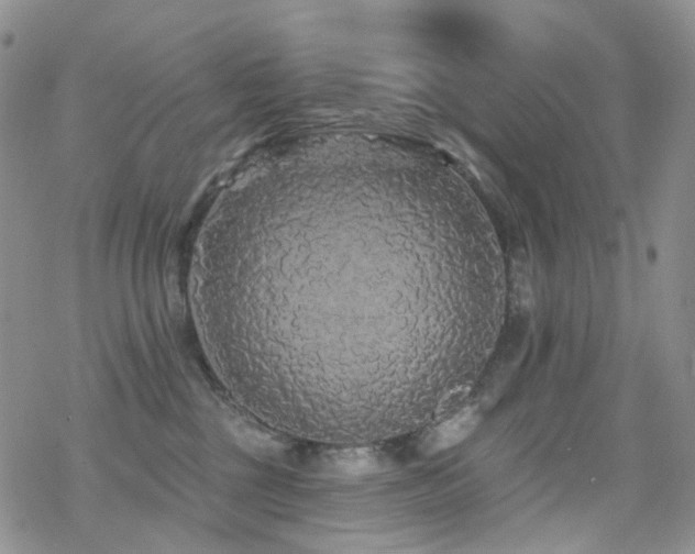 X0000070400377200606091132