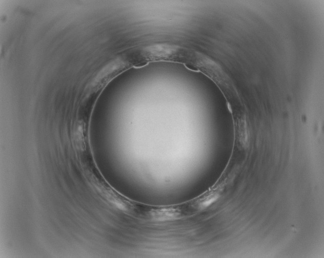X0000070400378200606091132