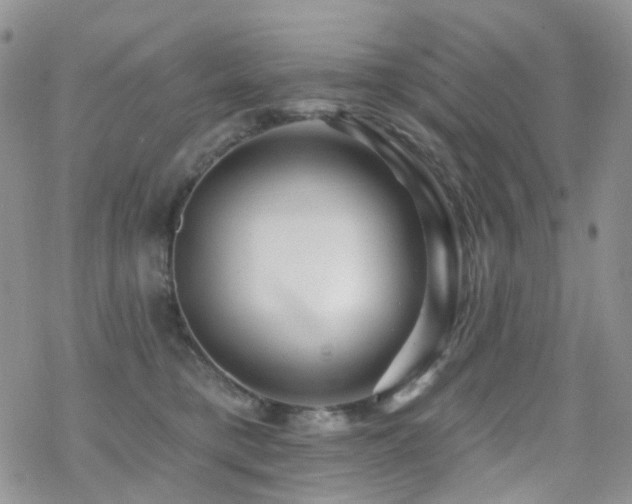X0000070400421200606091131