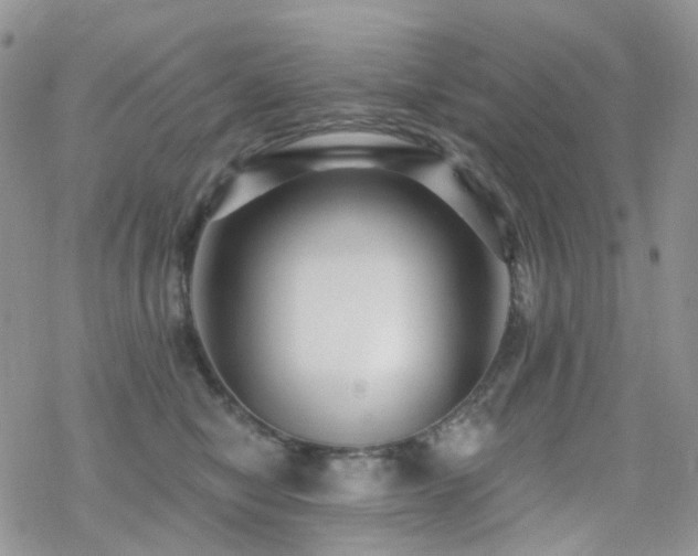 X0000070400470200606091130