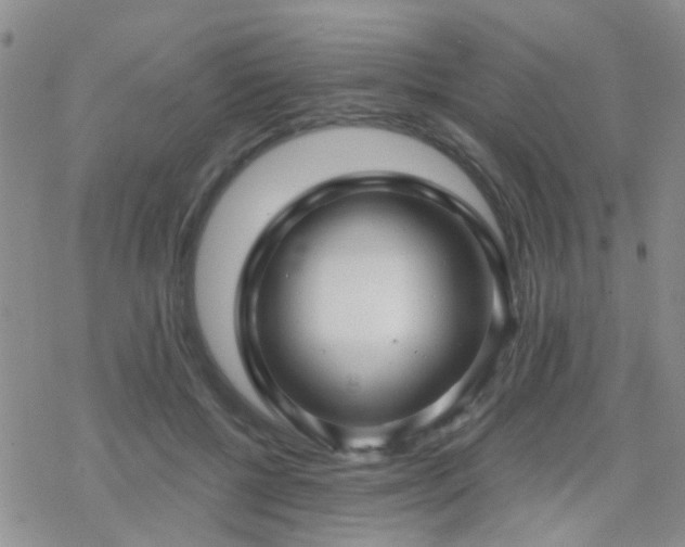 X0000070400552200606091129
