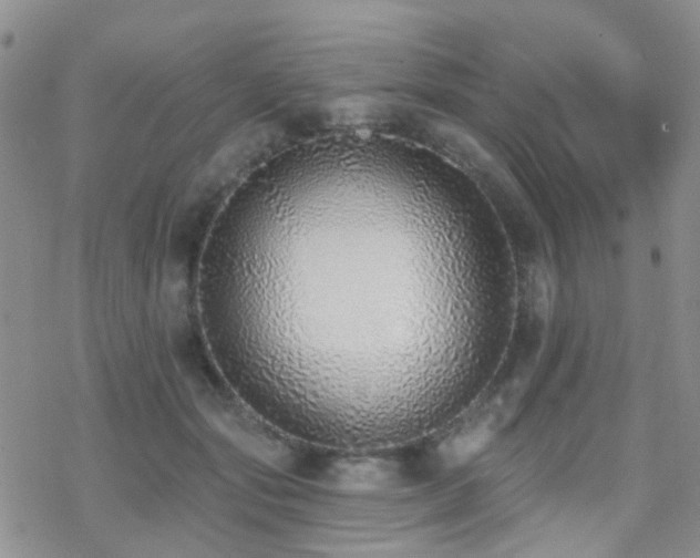 X0000070400557200606091129