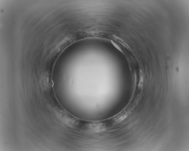 X0000070400615200606091128