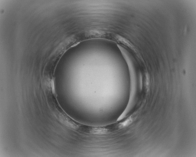 X0000070400617200606091128