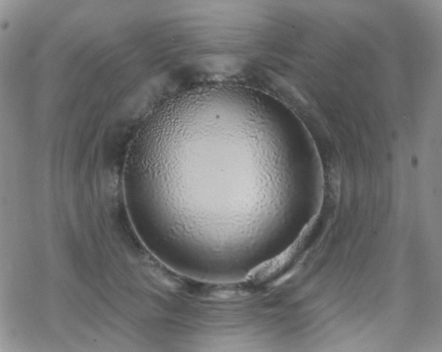 X0000070400657200606091127