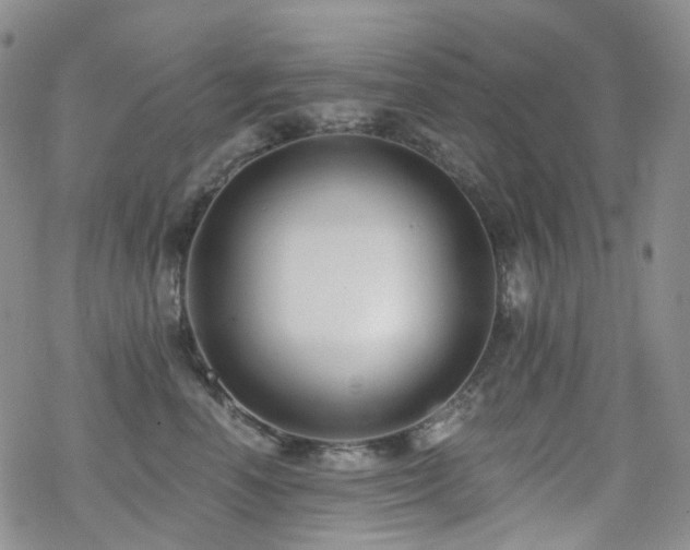 X0000070400666200606091127
