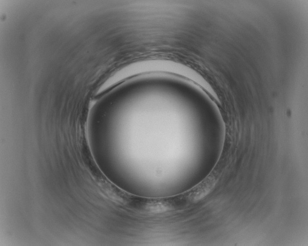 X0000070400704200606091126
