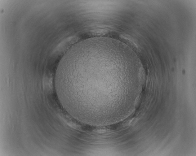 X0000070400745200606091126