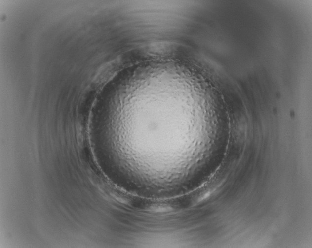 X0000070400749200606091126