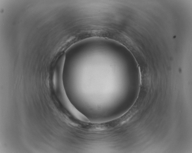 X0000070400750200606091126