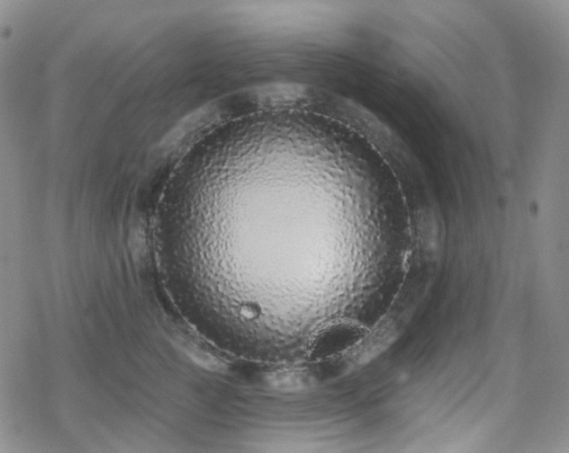 X0000070400761200606091126