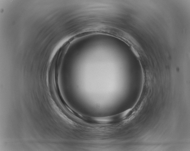 X0000070400788200606091125