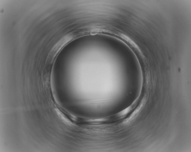X0000070400801200606091125