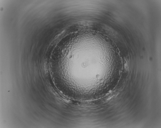 X0000070400819200606091124