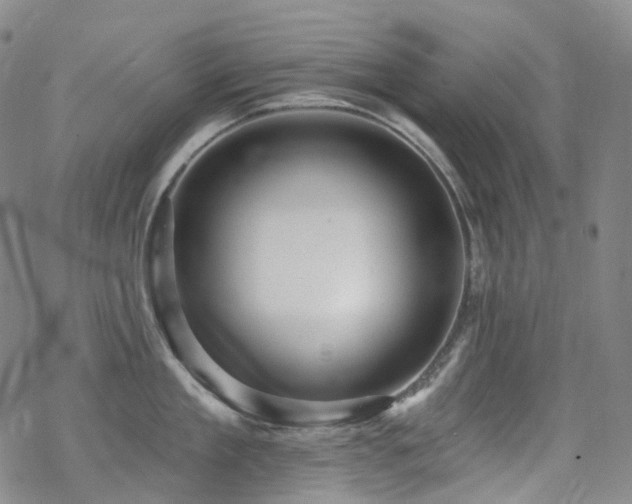 X0000070400909200606091123