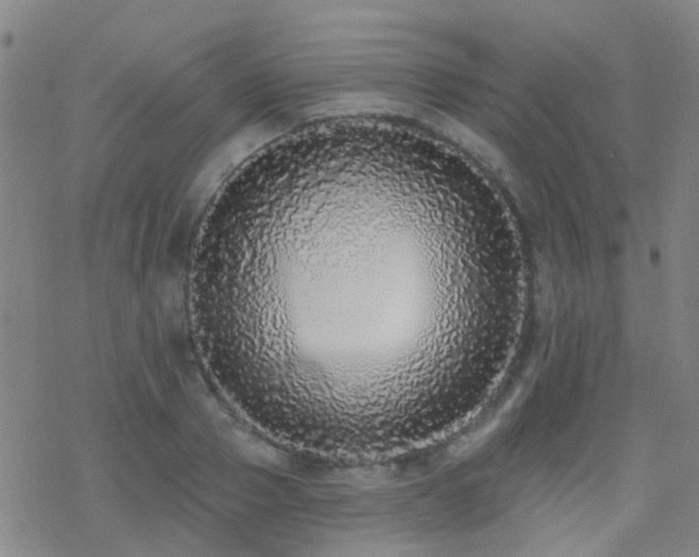 X0000070400937200606091122