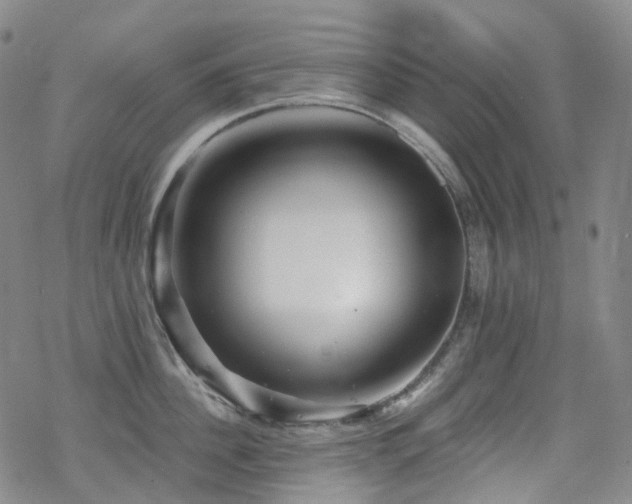 X0000070400956200606091123