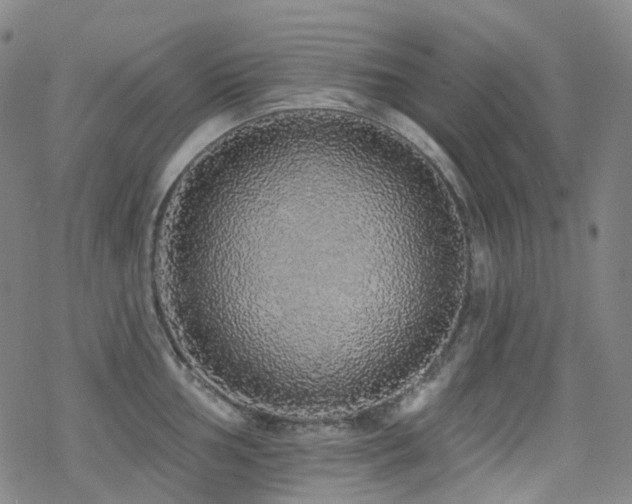 X0000070401002200606091121