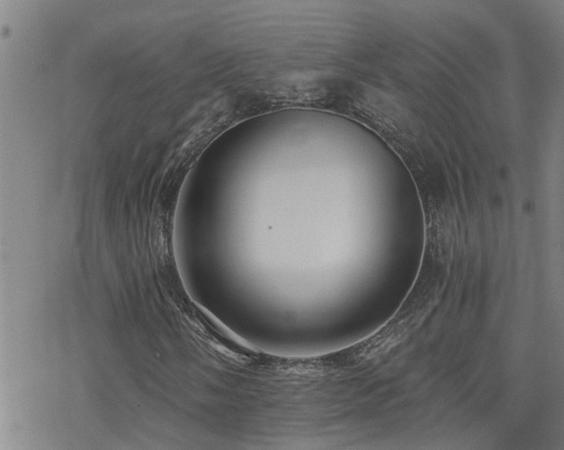 X0000070401058200606091120
