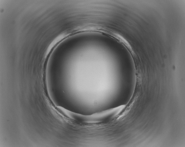 X0000070401146200606091119