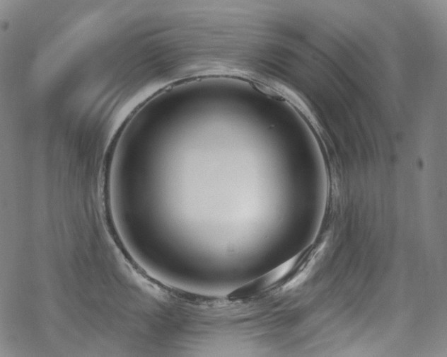 X0000070401149200606091120