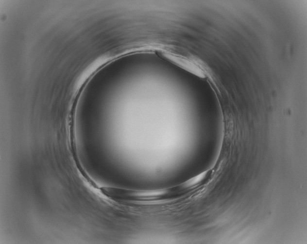 X0000070401151200606091120
