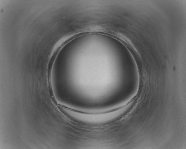 X0000070401176200606091118