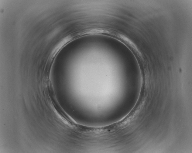 X0000070401193200606091118