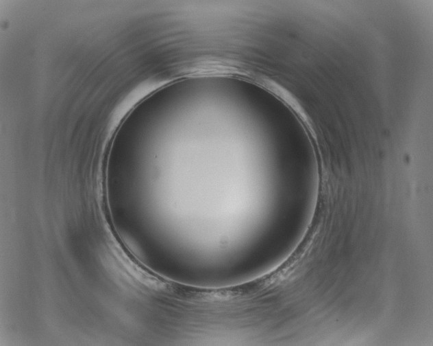 X0000070401195200606091118