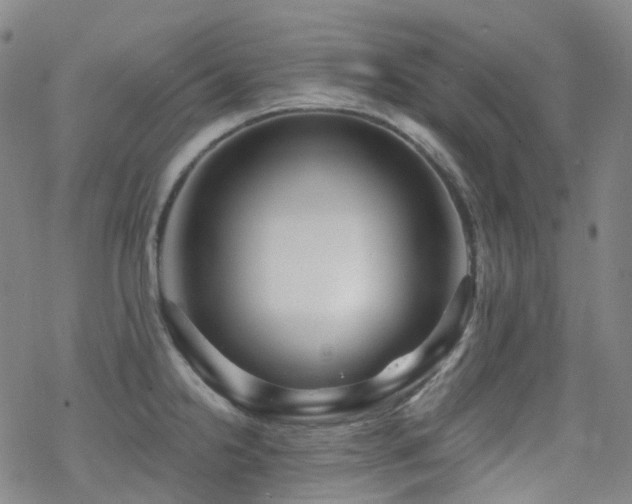 X0000070401238200606091118