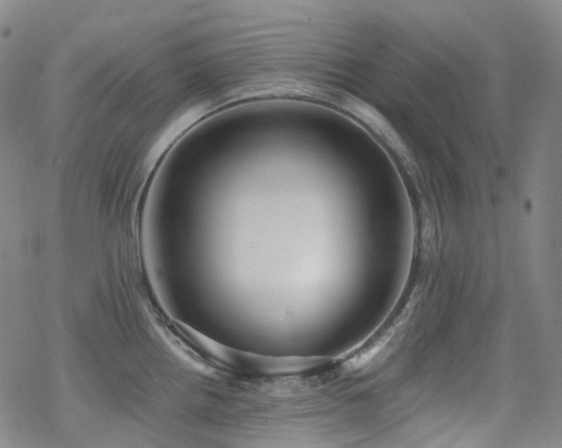 X0000070401242200606091118