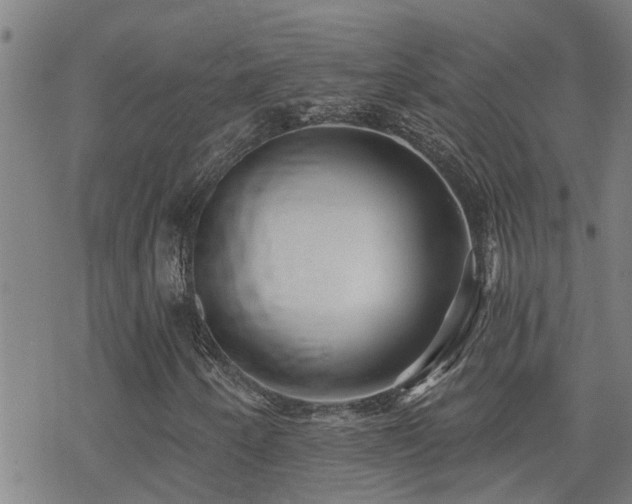 X0000070401250200606091117