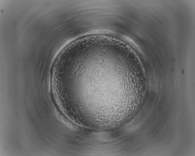 X0000070401276200606091117