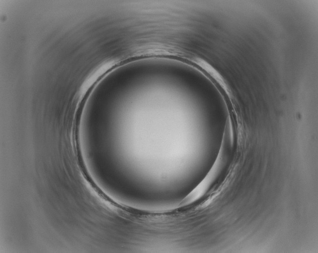 X0000070401293200606091117