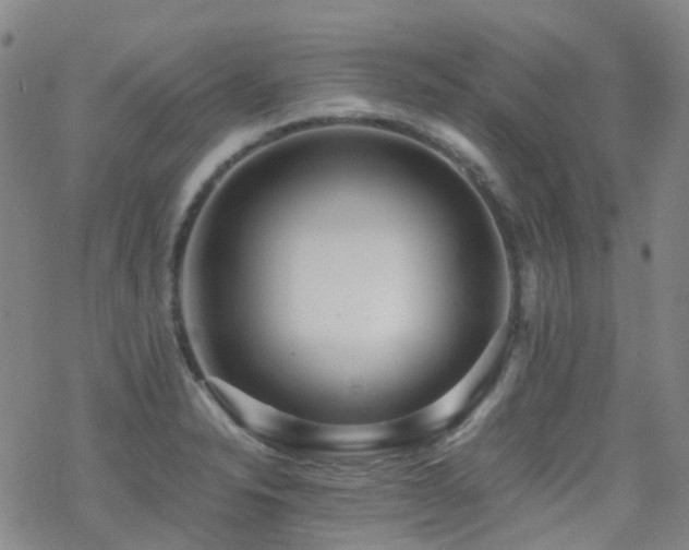 X0000070401326200606091116