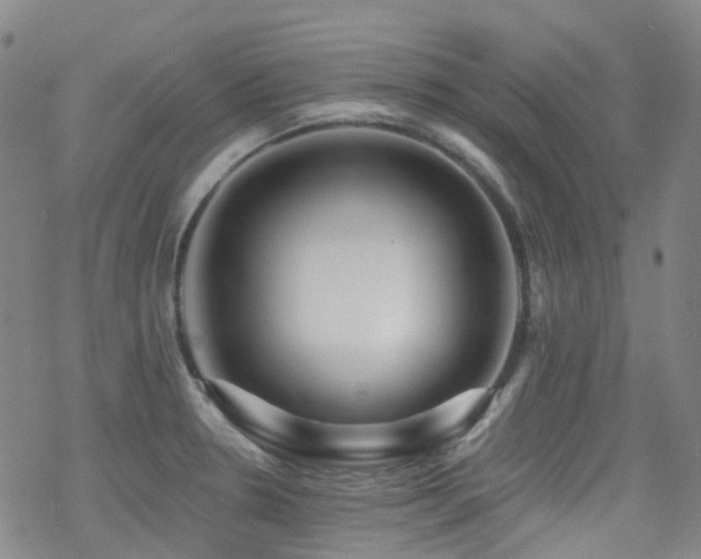 X0000070401330200606091116