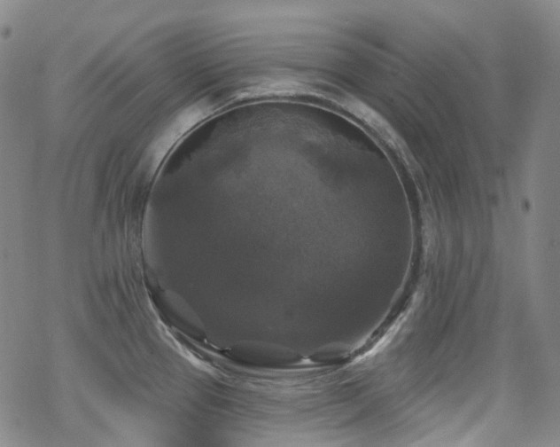 X0000070401337200606091116