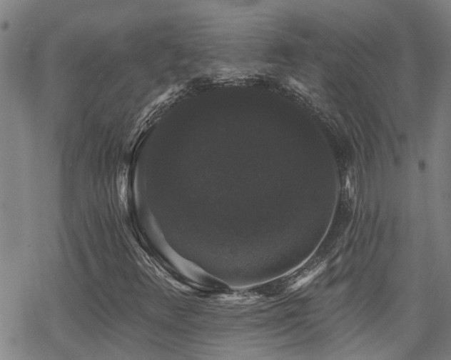 X0000070401348200606091116