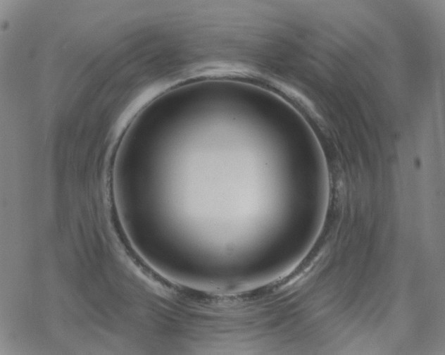X0000070401375200606091115