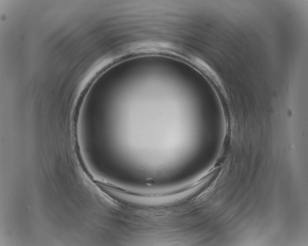 X0000070401384200606091115