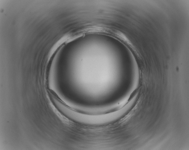 X0000070401426200606091115