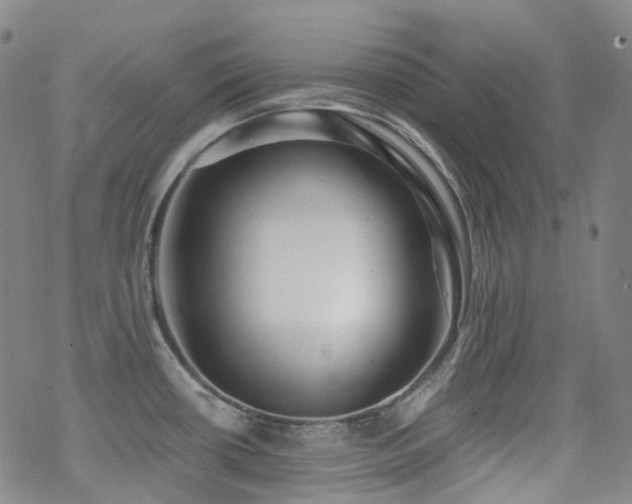 X0000070401434200606091115