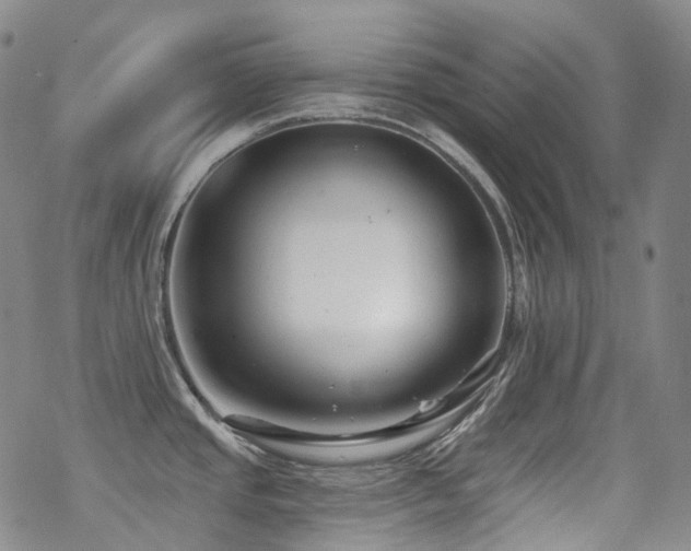 X0000070401437200606091115