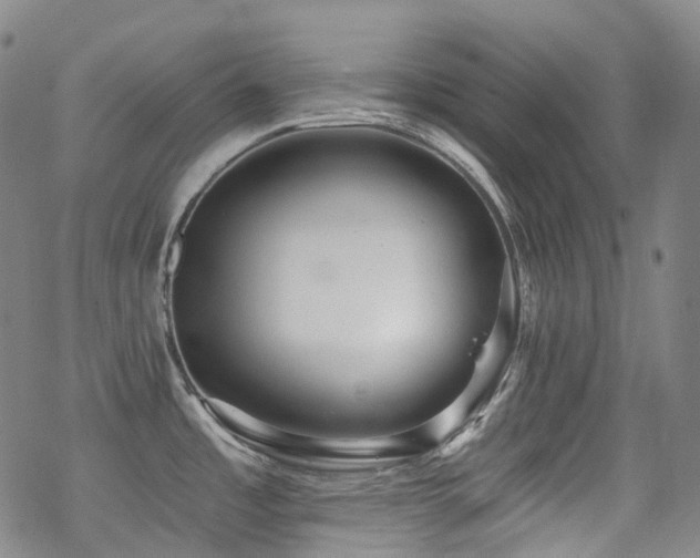 X0000070401485200606091113