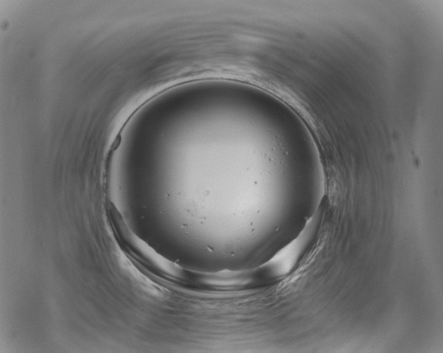 X0000070401532200606091113